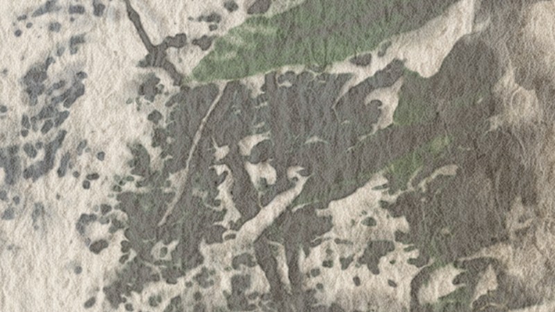 Mid-painting, 1:1: the painting, then its water map (View: water, light = wet). Where the paper is wet the wash melts softly; where it has dried the edges stay hard.